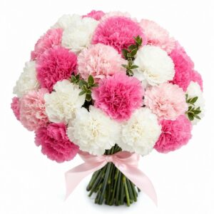 Carnation Bouquet — 康乃馨花束