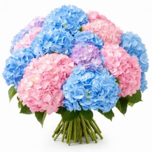 Hydrangea Bouquet — 繡球花花束