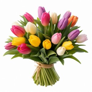 Tulip Bouquet — 鬱金香花束